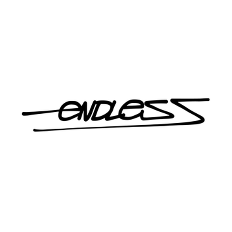 Endless logo