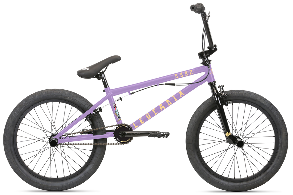 HARO LEUCADIA DLX 20" COMPLETE BMX BIKE