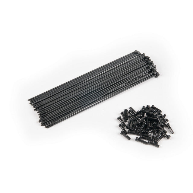ECLAT Pg Spokes