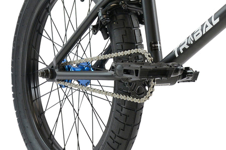 Tribal BMX Tribal Dragon 20" BMX - Matte Black With Blue parts