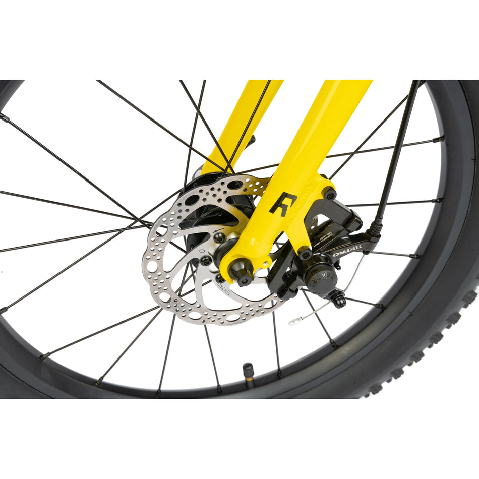 RADIO BIKES Zuma 20 Complete Bike