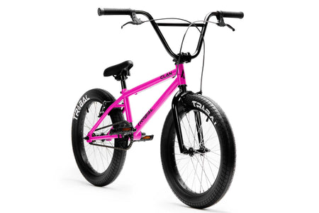 Tribal BMX Tribal Clan V2 20" BMX - Raspberry