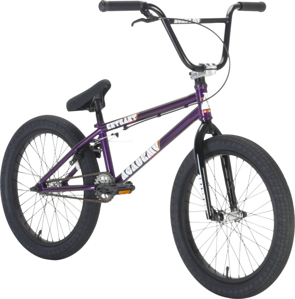 Academy Entrant 20" 2021 Complete Bike Purple Storm